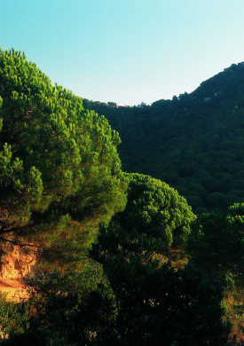 Parc de la Serralada Litoral (0)