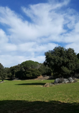 Parc de la Serralada Litoral (0)