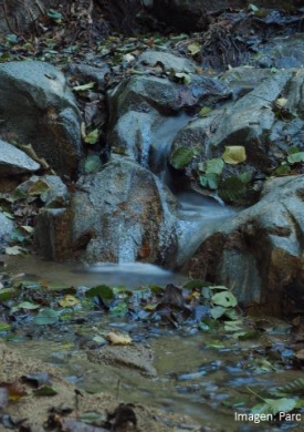 Parc de la Serralada Litoral (0)