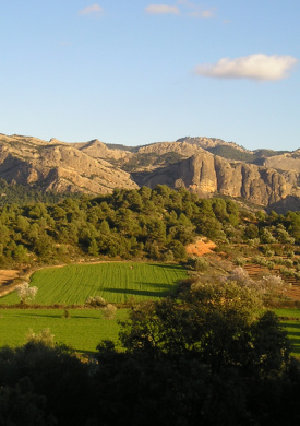 Port d'Arnes (0)