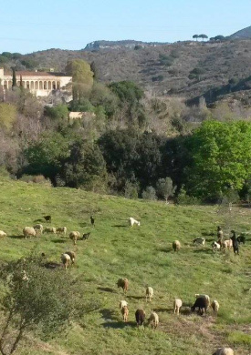 Parque de la Serralada de Marina (0)