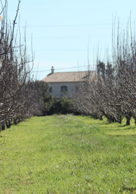 Parc Agrari del Baix Llobregat (0)