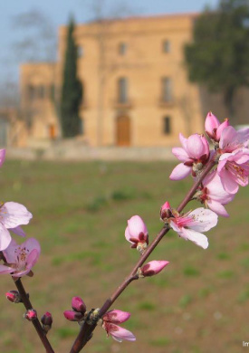 Parc Agrari del Baix Llobregat (0)