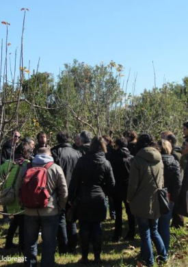 Parc Agrari del Baix Llobregat (0)
