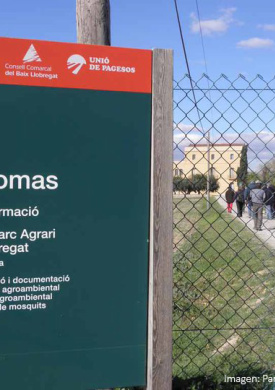 Parc Agrari del Baix Llobregat (0)