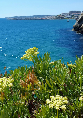 Parc del Garraf (0)