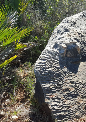 Parc del Garraf (0)