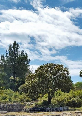 Parque d'Olerdola (0)