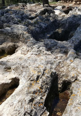 Parque d'Olerdola (0)
