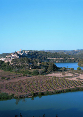 Parque del Foix (0)