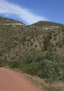Espai Natura Els Blaus (0)