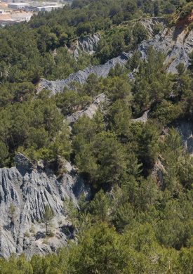 Espai Natura Els Blaus (0)