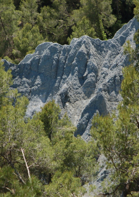 Espai Natura Els Blaus (0)