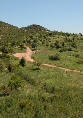 Espai Natura Puigventós (0)