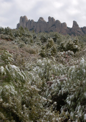 Espai Natura Montserrat-Coll de Can Maçana (0)