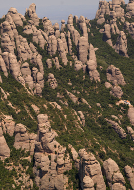 Espai Natura Montserrat-Coll de Can Maçana