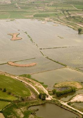 Espai Natura Estany d'Ivars i Vila-sana (0)