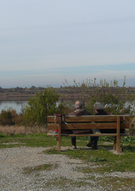 Espai Natura Estany d'Ivars i Vila-sana (0)