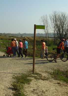 Espai Natura Estany d'Ivars i Vila-sana (0)