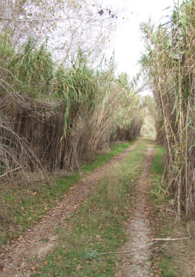 Espai Natura Sot del Fuster (0)