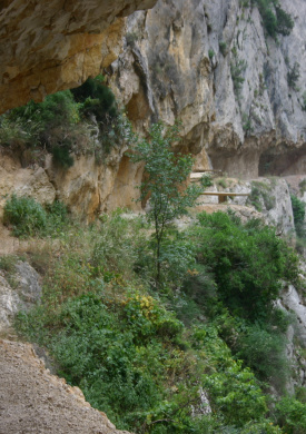 Espai Natura Congost de Mont-rebei (0)
