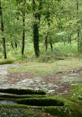 Espai Natura Cingles de l'Avenc de Tavertet (0)