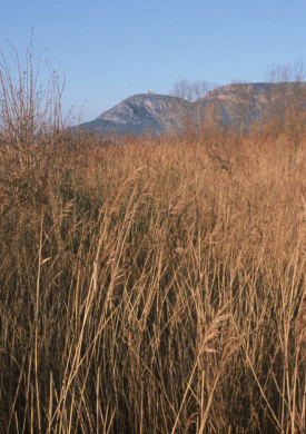 Espai Natura Ter Vell (0)