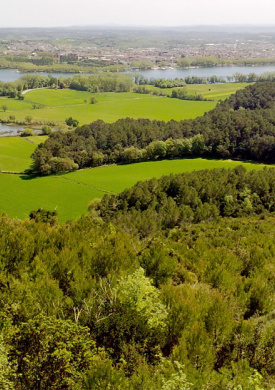 Espai Natura Can Morgat (0)