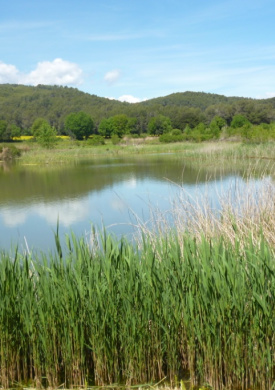 Espai Natura Can Morgat (0)