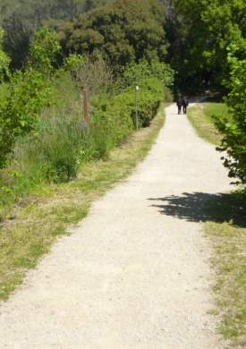 Espai Natura Can Morgat (0)