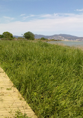 Espai Natura Mig de Dos Rius (0)