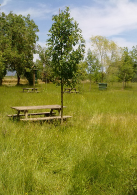 Espai Natura Mig de Dos Rius (0)