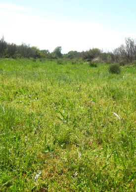 Espai Natura La Rubina (0)