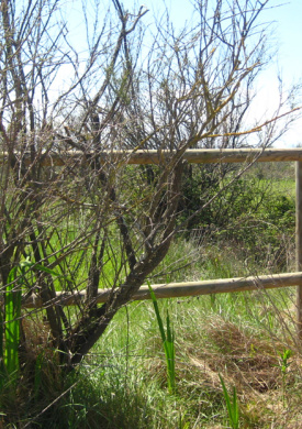 Espai Natura La Rubina (0)