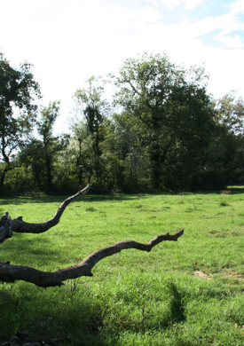 Espai Natura Closa de Mornau (0)