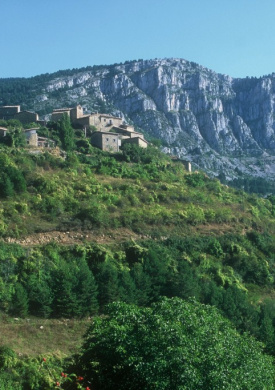 Espai Natura Muntanya d’Alinyà (0)