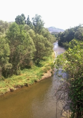Espai Natura Alt Segre (0)
