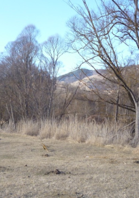 Espai Natura Alt Segre (0)