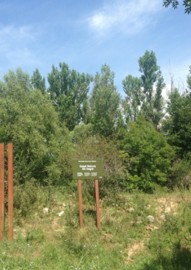Espai Natura Alt Segre (0)