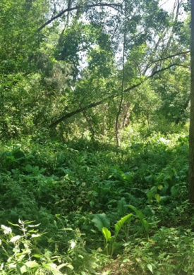 Espai Natura Alt Segre (0)