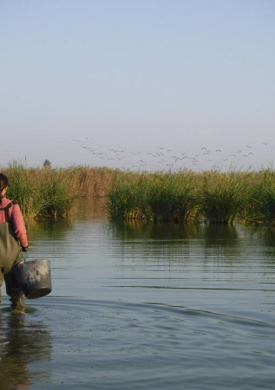 Reserva Ornitológica de Riet Vell (0)