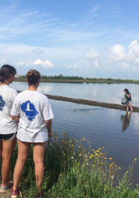 Reserva Ornitológica de Riet Vell (0)