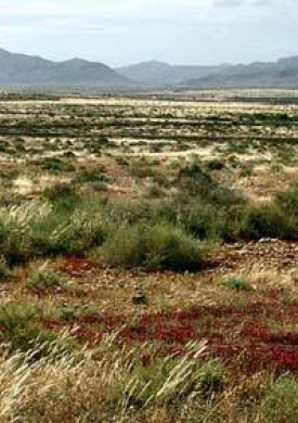 Reserva Ornitológica del Cercado de El Jarde