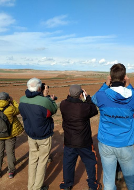 Reserva Ornitológica de El Planerón (0)