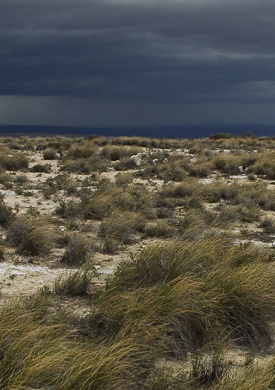 Reserva Ornitológica de El Planerón
