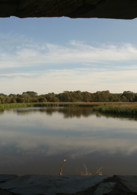 Lagoa de Cospeito (0)