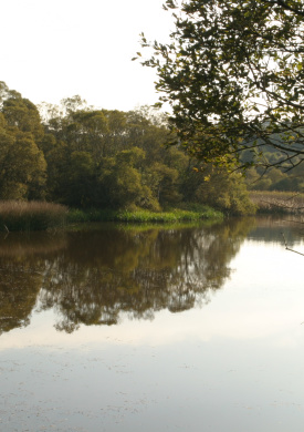 Lagoa de Cospeito (1)