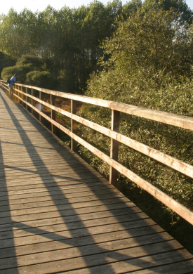 Lagoa de Cospeito (4)