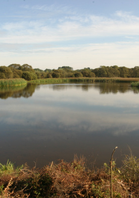 Lagoa de Cospeito