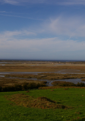 Baldaio (0)